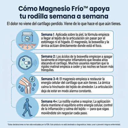VidaLenca - Magnesio Frío™